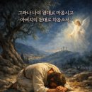 원대로 - 김해시 삼문로 5 | 원대로