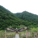 평화쉼터 이미지