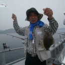 영일1호 이미지