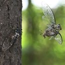 물의합창 이미지