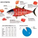 참치한마리 - 중랑구 용마공원로 1 | 참치한마리