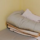 스테이숲이되는시간 이미지