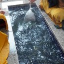 변산해수찜. 해수탕 이미지