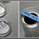 동아오토카 이미지