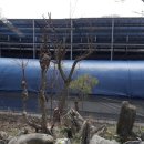 광만목장 이미지