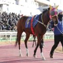 (주)블루너츠 이미지