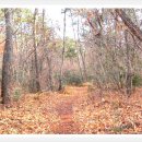 용연주유소 이미지