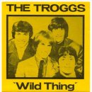 Wild Thing (1966) -The Troggs- 이미지