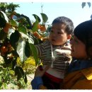 베이비캐슬어린이집 이미지