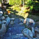 구미정야영장 화장실 이미지