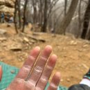 수리산로 | 수리산매바위 등반 주차 어프로치 초보후기 매바위리드클라이밍