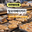 밀모아