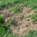 수양목장 이미지