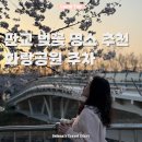 화랑스포츠 | 성남 판교 벚꽃 명소 실시간 개화상황 화랑공원 주차 가격 팁