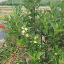 동창농장 이미지