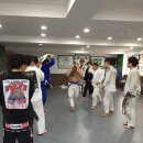 용호도장 이미지