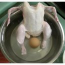 자연주의 조산원 이미지