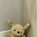 미영사우나 이미지