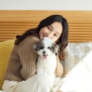 주동물병원 이미지