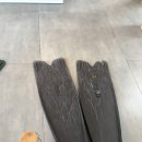 곰식's 카페(by 커피나무) | 🇲🇻 몰디브 여행 (2) | 마푸시섬 쉐도우팜 아부아톨 투어 / 널스샤크, 스팅레이 🦈 마푸시 카페, 맛집 추천