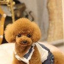 니들펠트 이미지