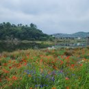 공주하숙마을 이미지