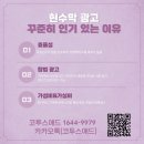 갑인광고