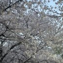 자이행복한공인중개사사무소 이미지