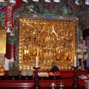 봉정여자 이미지