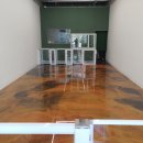 미용하개, 놀다가개 이미지