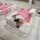 아이미즈산후조리원 | 인천 구월동 아이미즈 산후조리원 내돈내산 후기