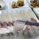 거제횟집 | 자갈치 횟집 추천｜남포동 횟집 룸식당 거제횟집 솔직후기