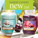 플럼블라썸(Plum Blossom) 이미지