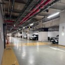 마린 | 해운대에스테틱 후기｜마린시티피부관리 이숲에스테틱에서 힐링받은 하루