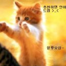 멍멍#