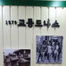 교동도나스 파티마점