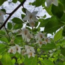 영도중앙유치원 이미지