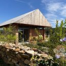 백설애견 이미지