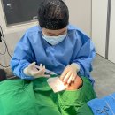 강남성형외과의원 이미지