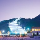 수안보이글벨리스키리조트 이미지