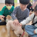 꼬미꼬미수산 이미지