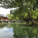 육모정허브찜질방 이미지