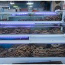 동해대게직판장 이미지