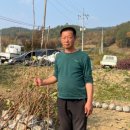 일심2로 R 이미지