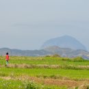 용궁정 | 가파도 청보리 - 아직은 이른 청보리 축제, 가파도식당 용궁정식. (4/2, 토)