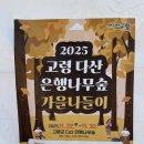 은행나무숲 입구 | 2025 고령 다산 은행나무숲 가을나들이 행사 후기