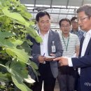 전라남도 농업기술원 과수연구소 이미지