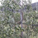 영중면 주민자치센터 이미지