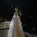 W2. 대구 본식스냅 로우모먼트 RMT 계약 후기