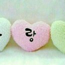 모실농장 이미지